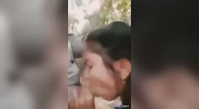 Una cita apasionada al aire libre con una ama de casa india y un encuentro oral sensual 3 mín. 40 sec