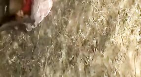 Amateur Indian couple enjoys outdoor sex in a field 3 min 40 sec