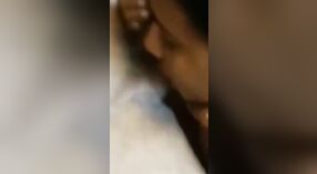 业余印度夫妇在性活动中抓住网络摄像头 1 敏 20 sec